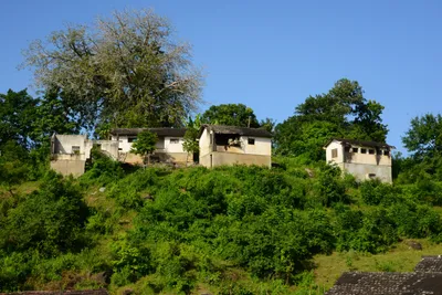 DSC_8477 (Large).JPG